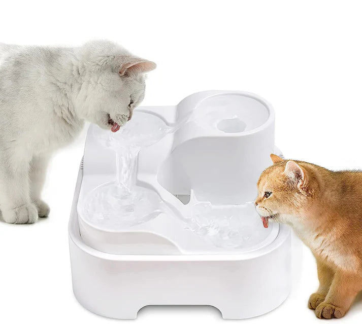 "Fontaine à Filtration: Offrez à Votre Chat une Eau Vive et Pure!"